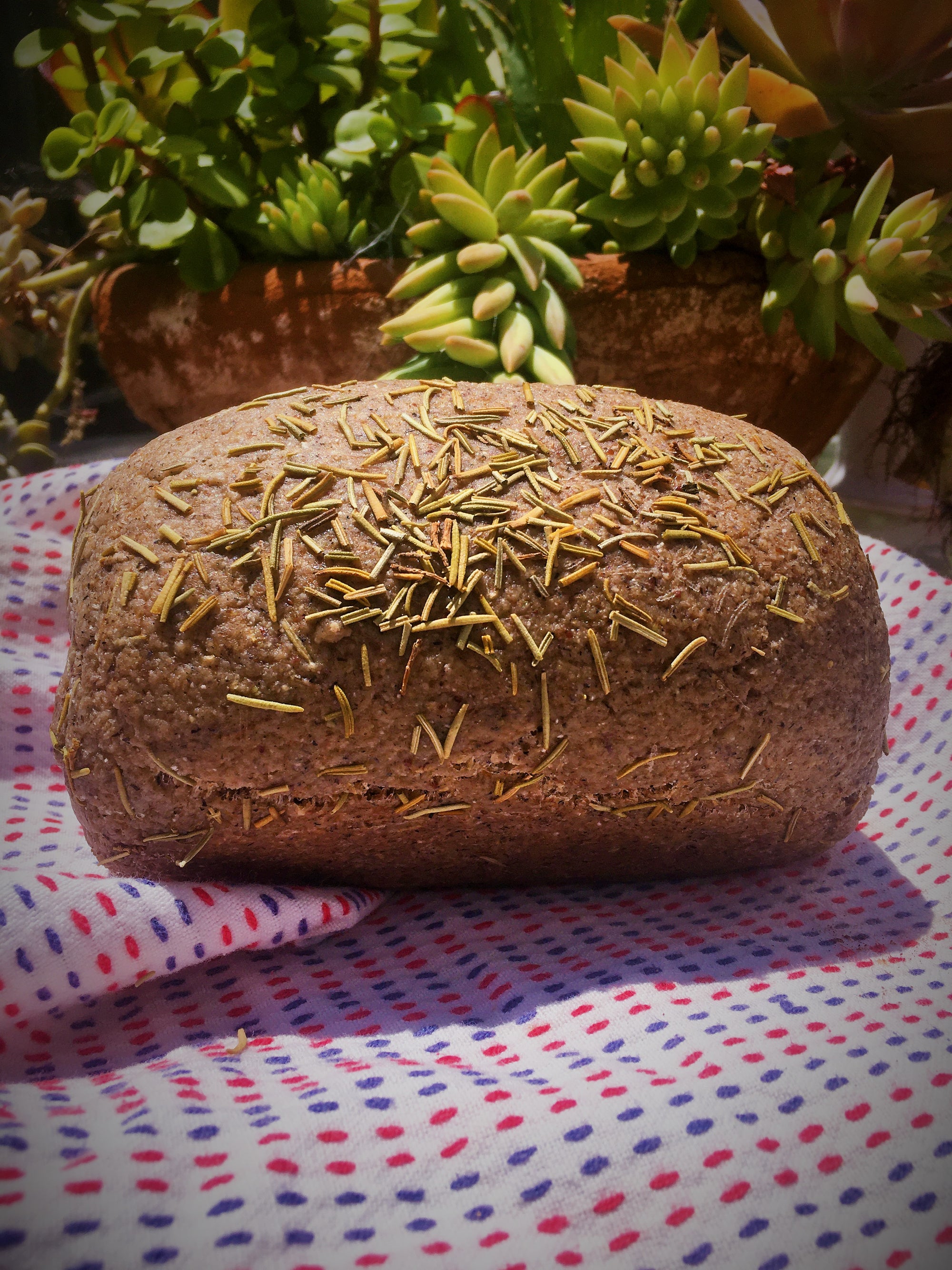 ZUKKEE GRAIN-FREE (PALEO & KETO FRIENDLY) SOURDOUGH